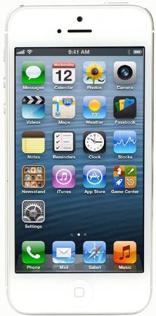 Смартфон Apple iPhone 5 32Gb White & Silver - Бор