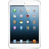 Apple iPad mini 16Gb Wi-Fi + Cellular белый - Бор