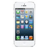 Apple iPhone 5 16Gb white - Бор